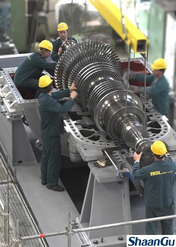 王慧：坚守在捷克的db电竞“花木兰”