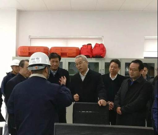 浙江省丽水市市长吴晓东前往浙江db电竞能源开发有限公司考察调研